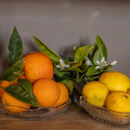 Casa Renta Вилла Metaxata