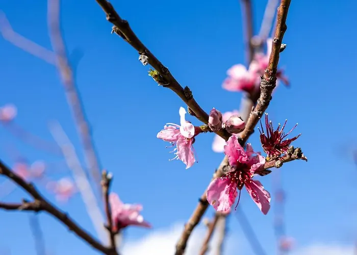 Casa Renta Βίλα Μεταξάτα