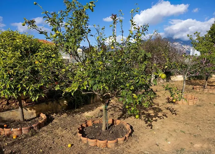 Casa Renta * Metaxáta