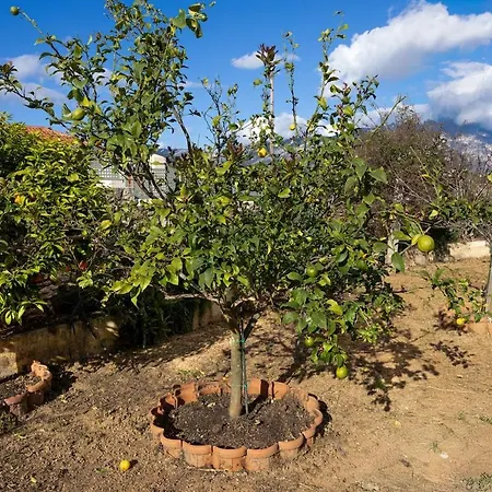 Casa Renta * Metaxáta