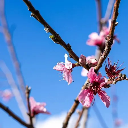 Casa Renta Willa Metaxáta